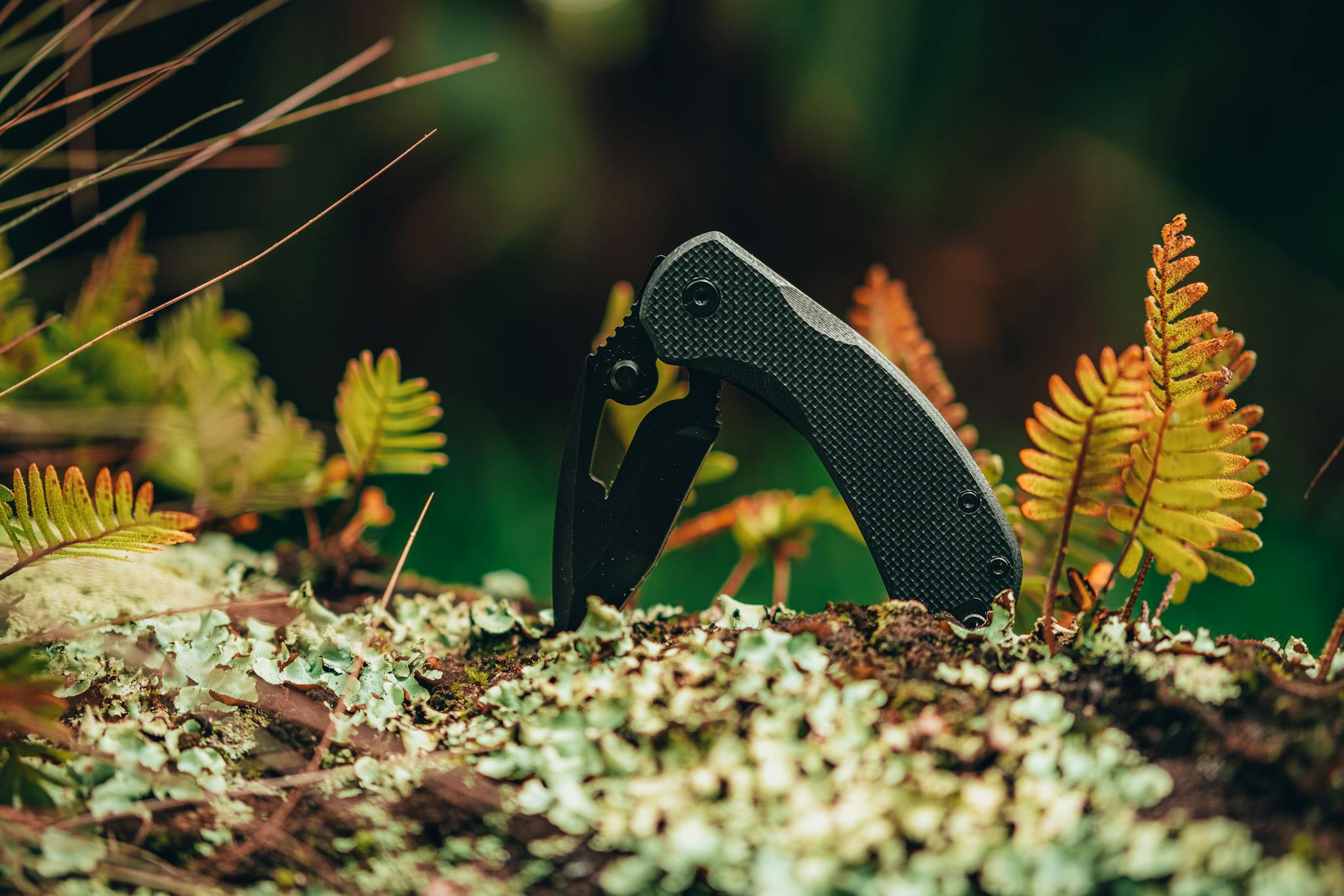 Close-up of a pocket knife amidst ferns and moss, highlighting outdoor adventure and survival themes.